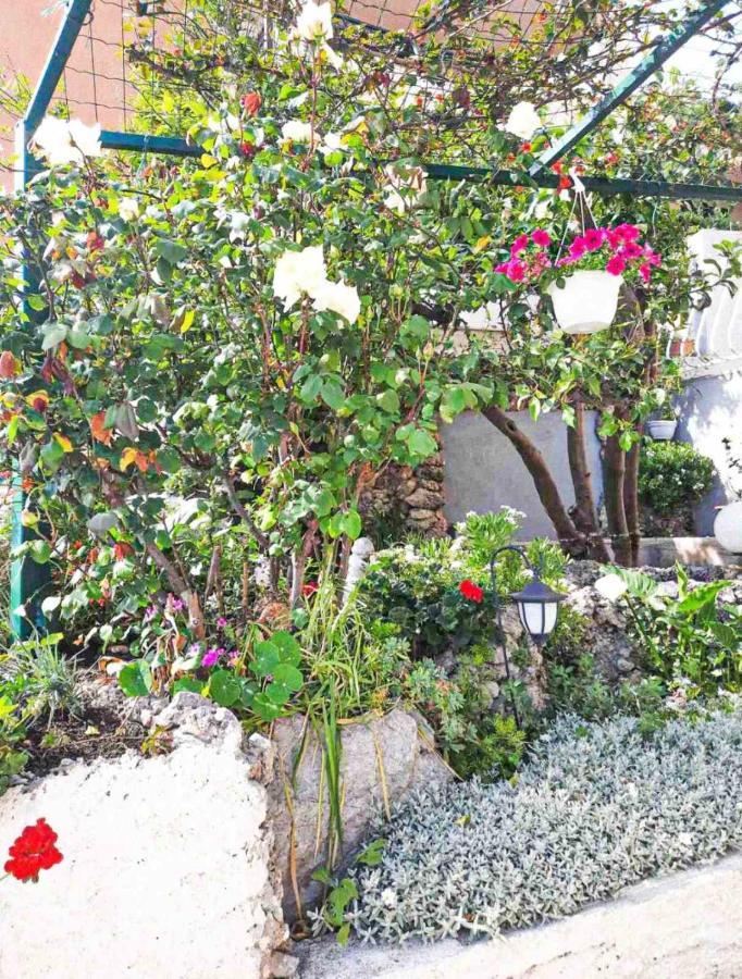 Apartment D&M1 Makarska Exterior photo